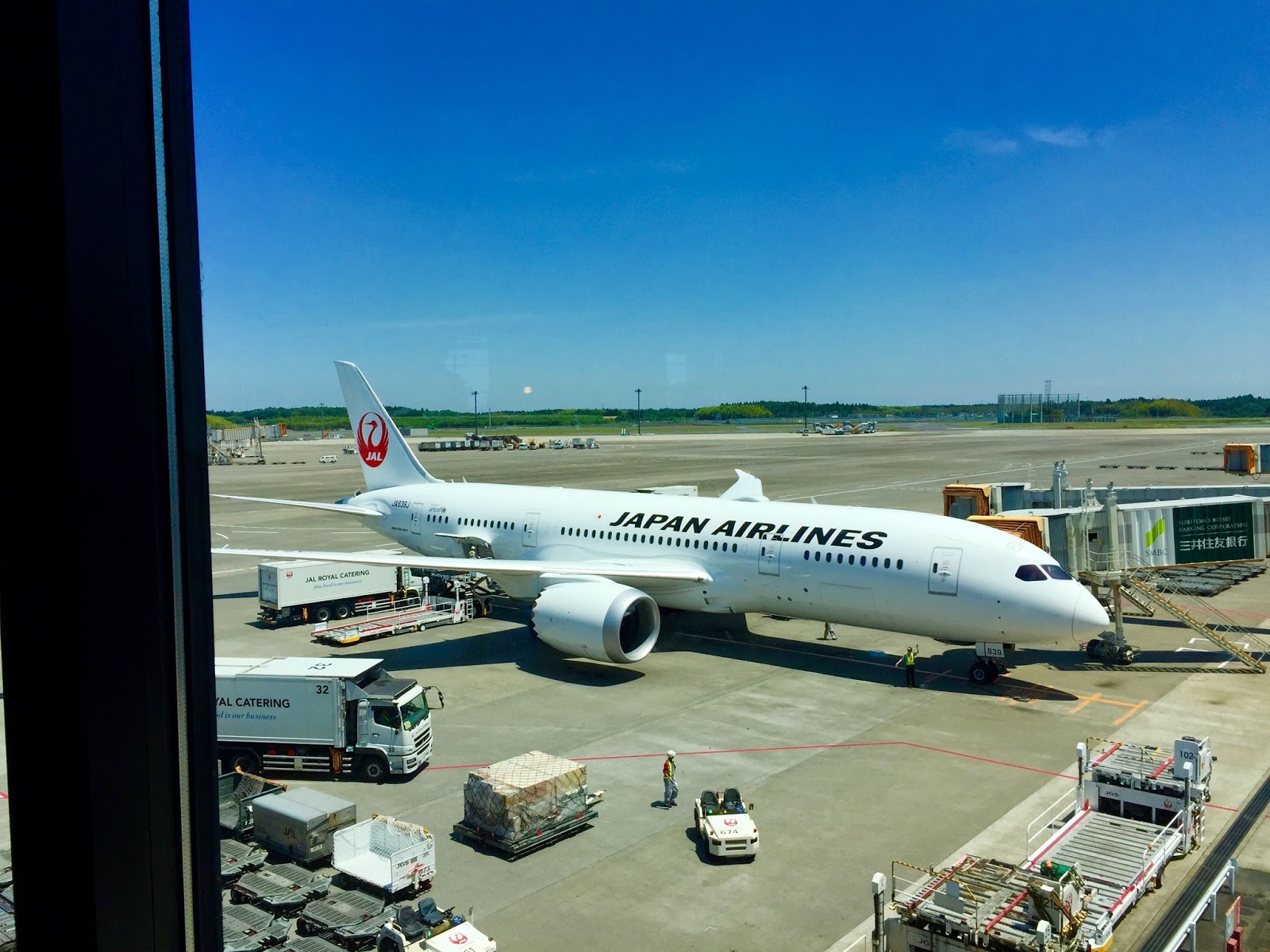 jal-787-8
