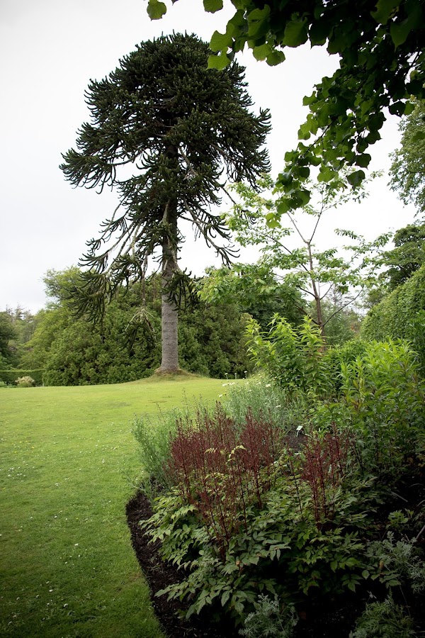 Escocia. Isla de Skye