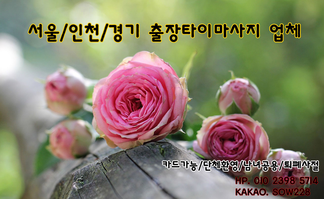 안양 출장타이마사지 그외 서울전지역 가능! 클릭클릭 안양 출장타이마사지 그외 서울전지역 가능! 클릭클릭