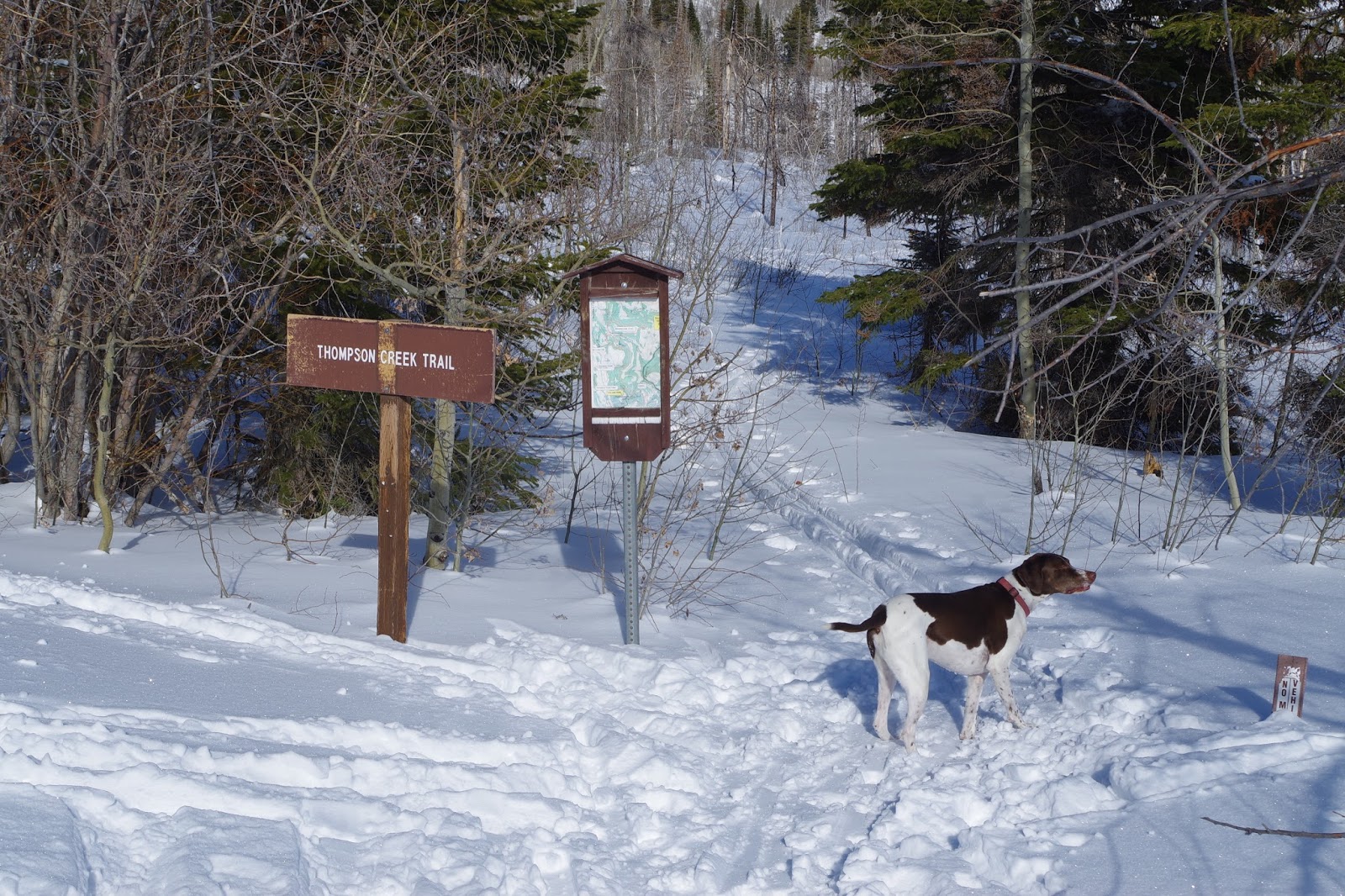 Stueby's Outdoor Journal January 2017