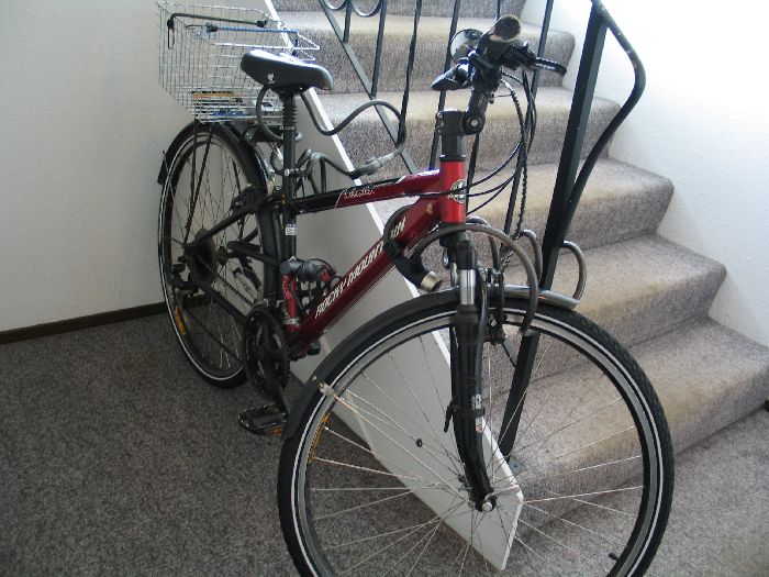 Carolyn's Flight of Fancy New Continental Touring Plus tires