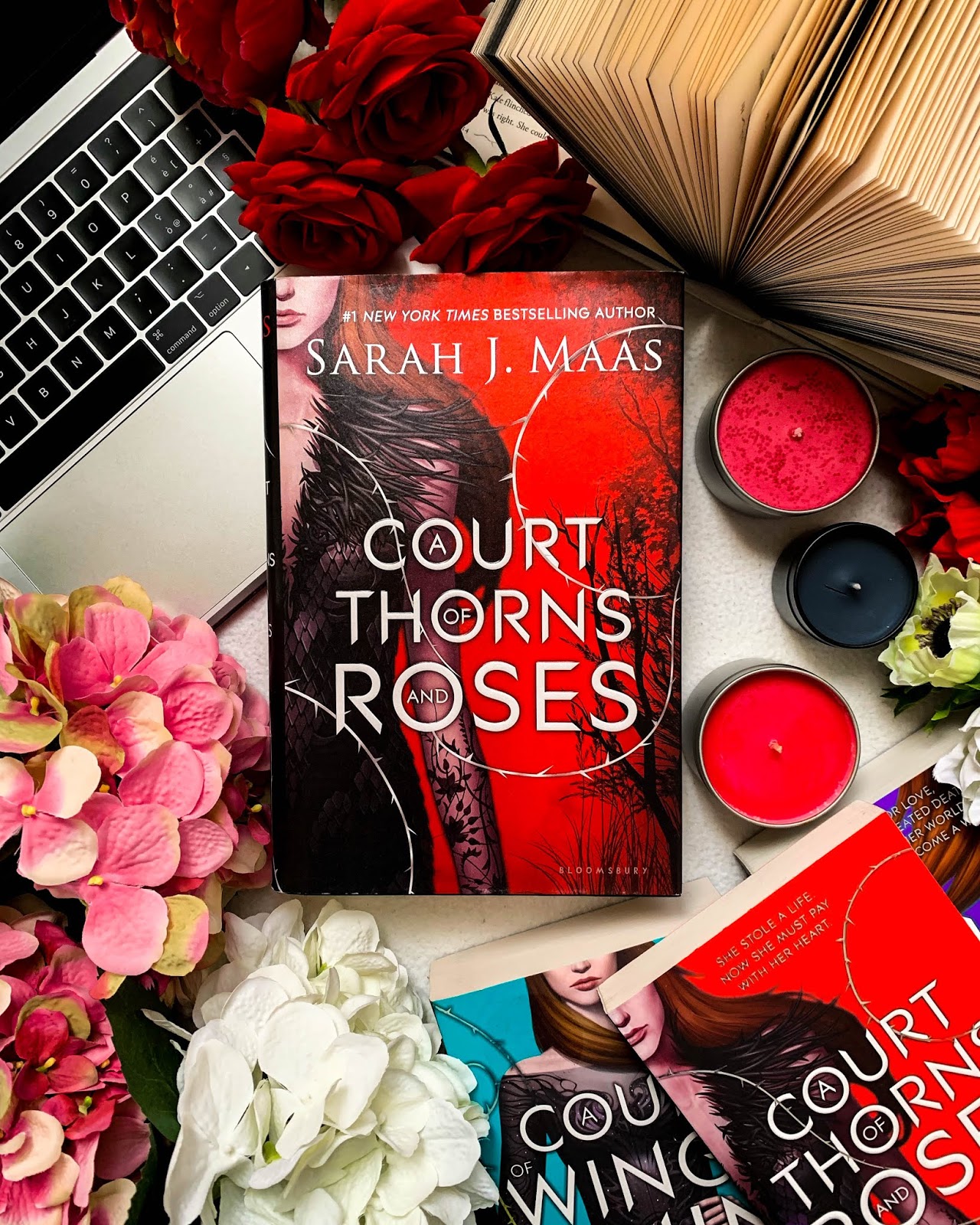"La corte di rose e spine" di Sarah J. Maas Recensione Jess in jpg (1280x1600)