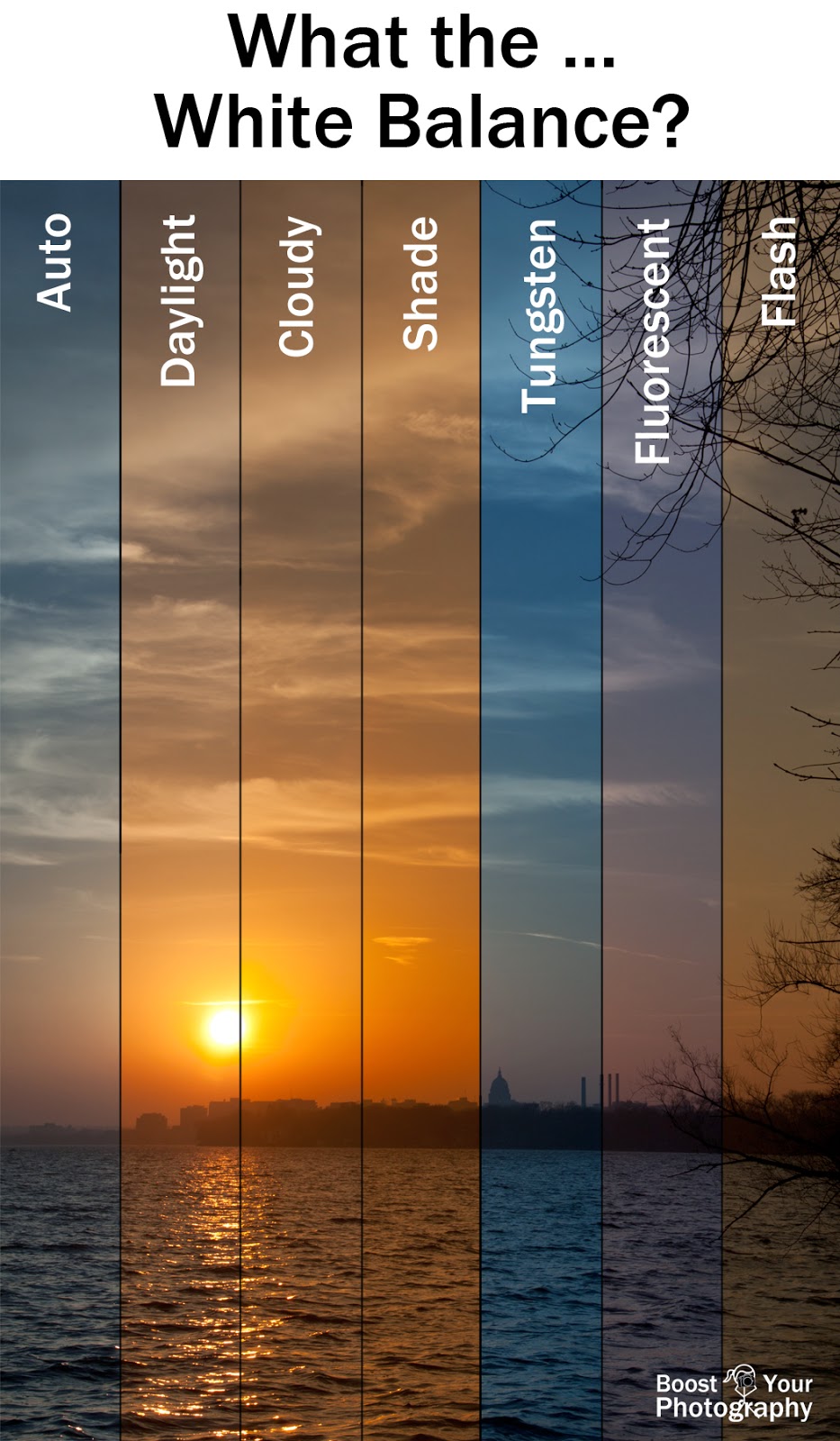 What the White Balance? | Boost Your Photography