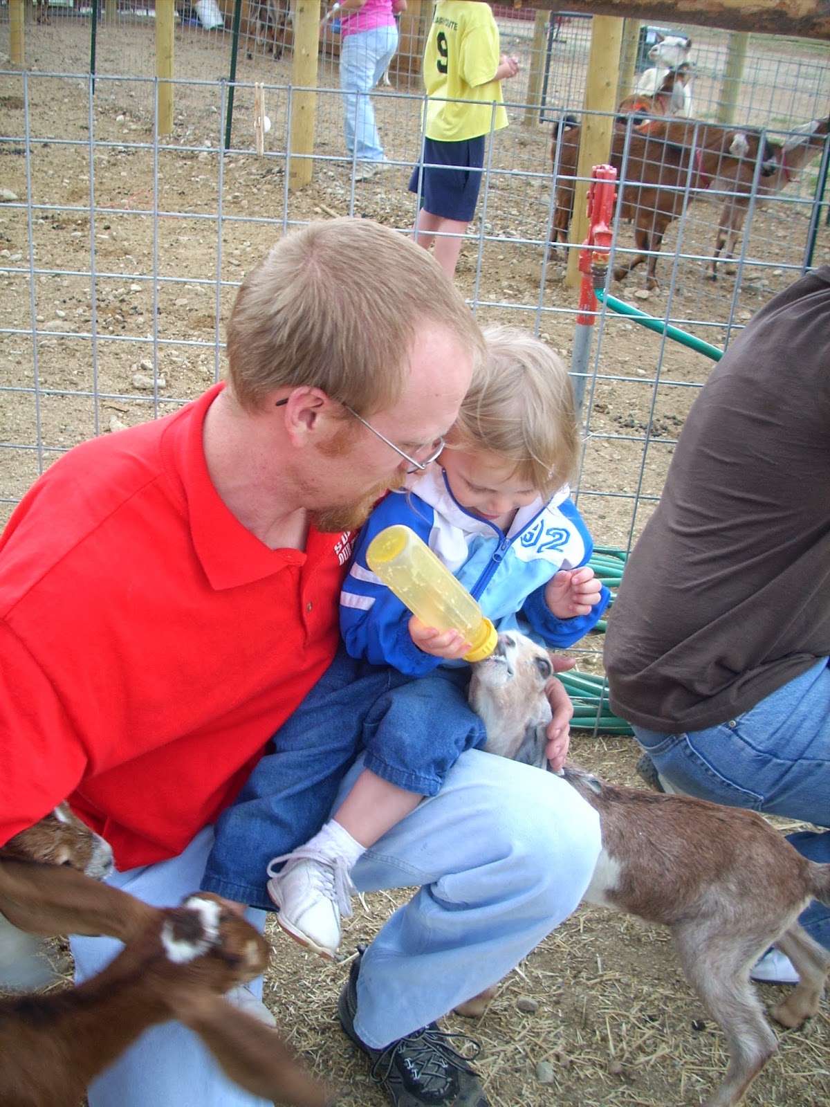 Explore Colorado Jumpin Good Goat Dairy Farm Buean Vista Colorado A