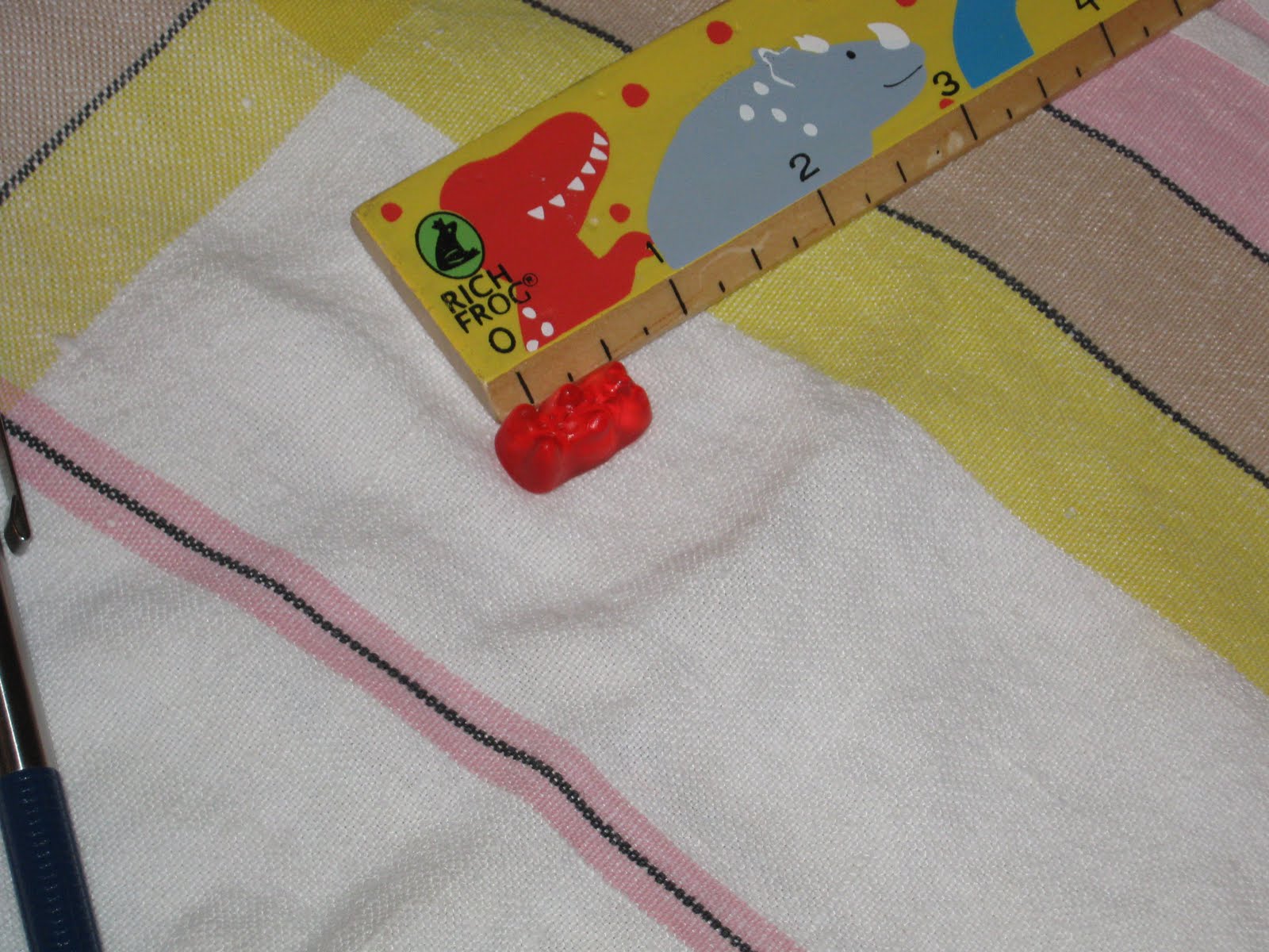 Science for Kids Experiment 1 Growing Gummy Bears