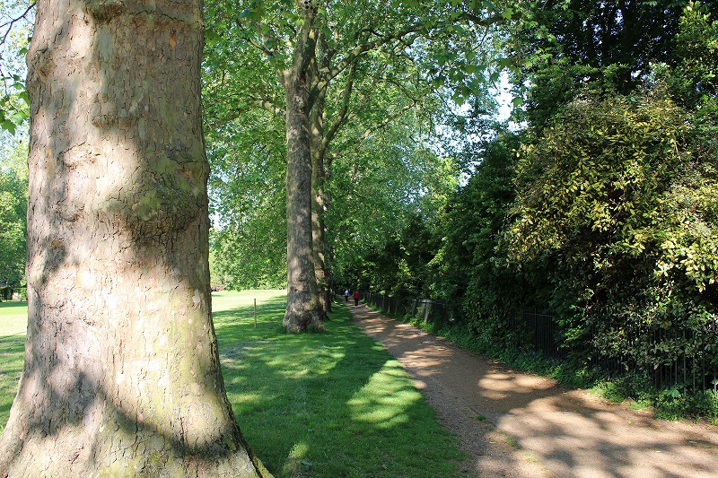 ロンドンの旅を楽しむ ケンジントン公園 Kensington Gardens ロンドンの中心で自然に触れ合える