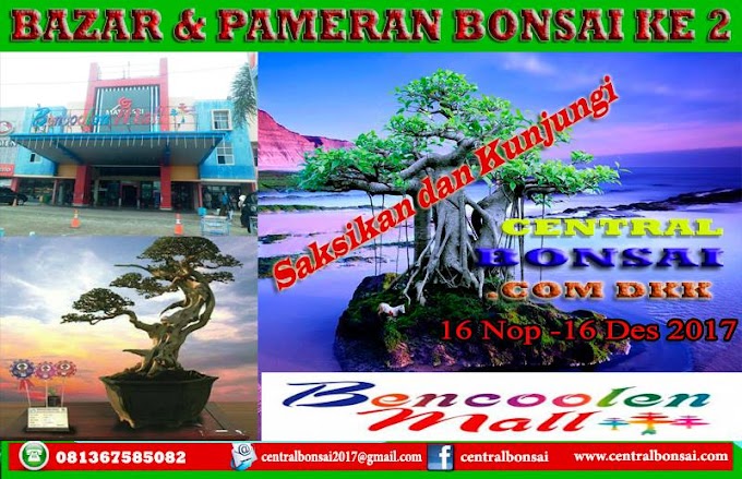PAMERAN & BAZAR BONSAI 