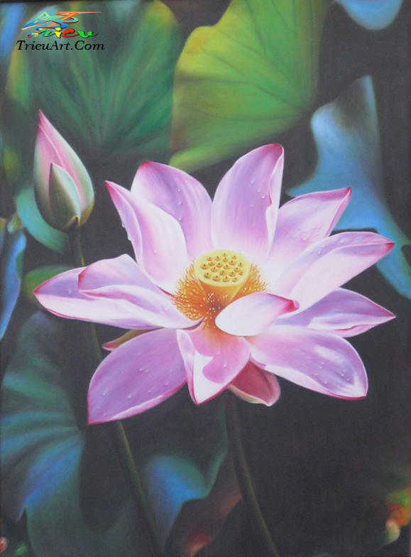 tranh tinh vat