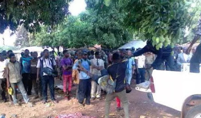 fulani herdsmen kill 10 kogi