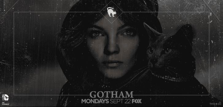 Gotham - Promotional Animated Key Art