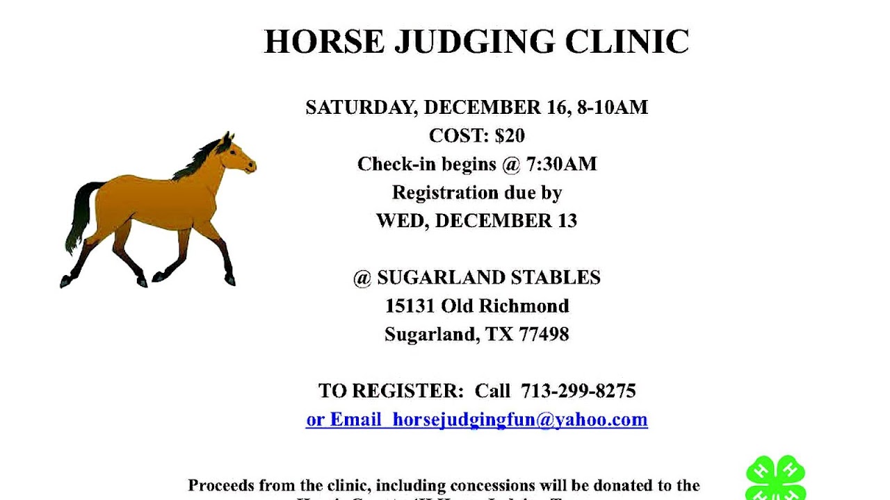 Hippology Horse Judging Horse Choices