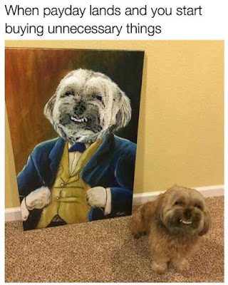 payday buying dog, funny dog portrait, payday lands buying unnecessary things