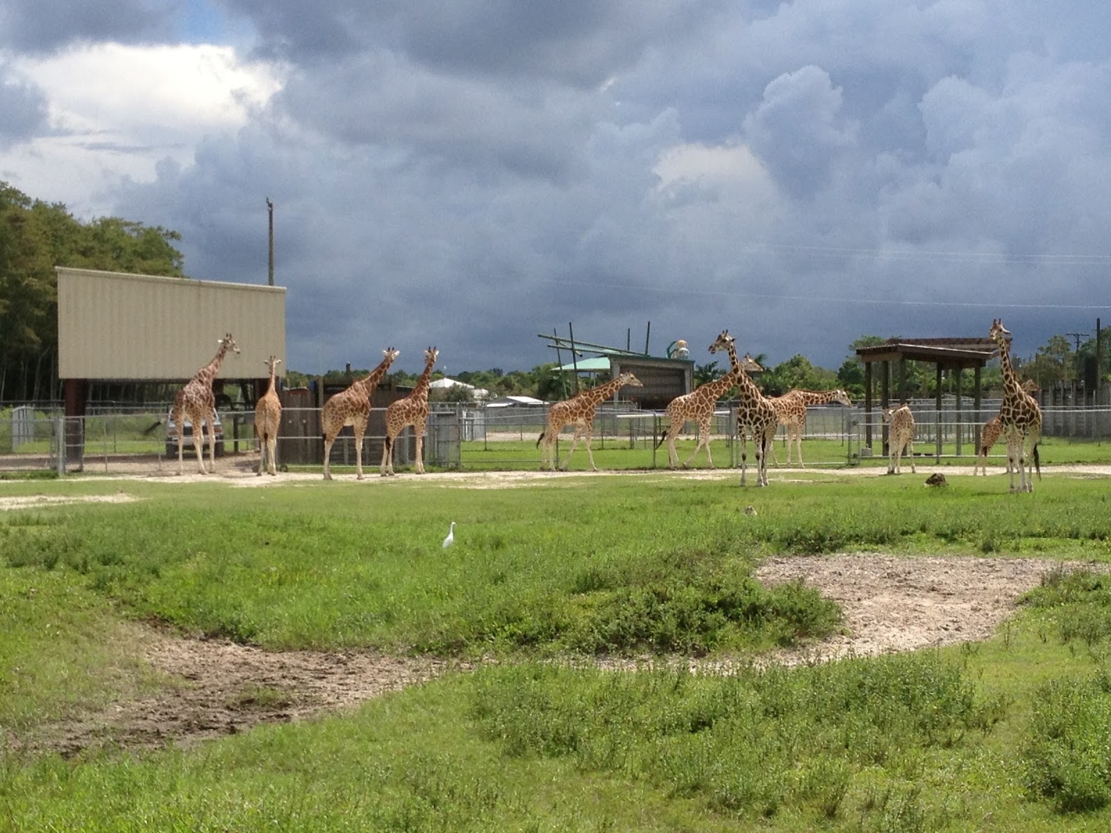 The DeMoor Family Lion Country Safari