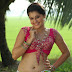 Tapasee Hot Pics In Traditional Indian Dresses