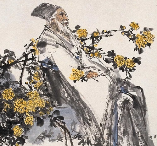 寒菊 画菊郑思肖