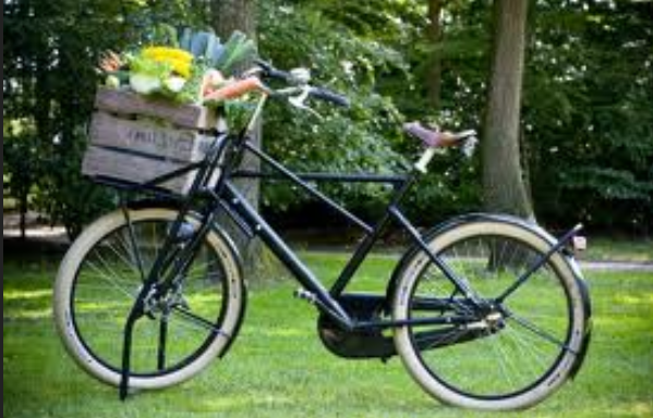 bikes for people over 300 lbs