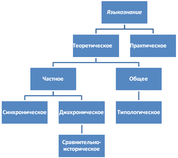 структура разделов языка. редактирование структуры. структура программы на языке программирования паскаль. опишите структуру программы на паскале. компоненты структуры языка.