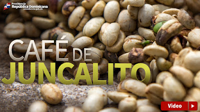 VIDEO: Café de Juncalito