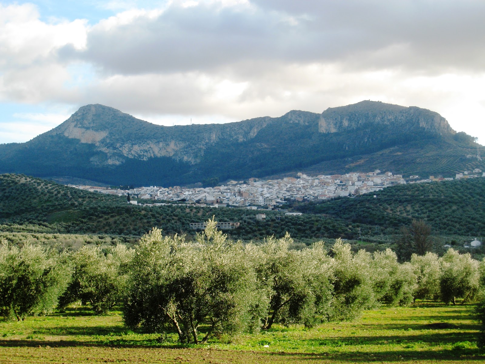 Cosas de Antonio En los campos de mi Andalucía