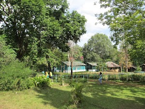 Kulgi Nature Camp