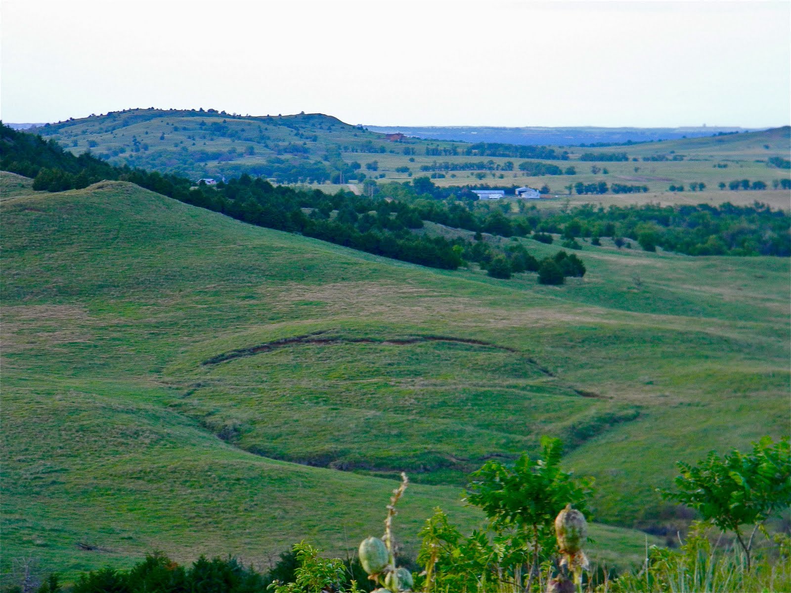 Rock Art, Indigenous Grassland, Smoky Hills and Mike