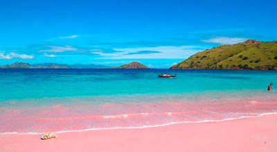 A l'île Harbours Pink Sand Beach est l'une des 7 plus belles plages des Bahamas à visiter.