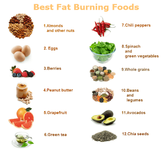 best fat burning foods!