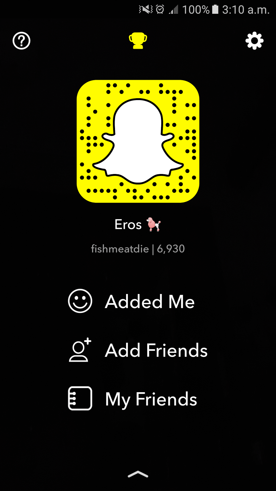 Snapchat Blogger/Wordpress Widget Tutorial FISHMEATDIE