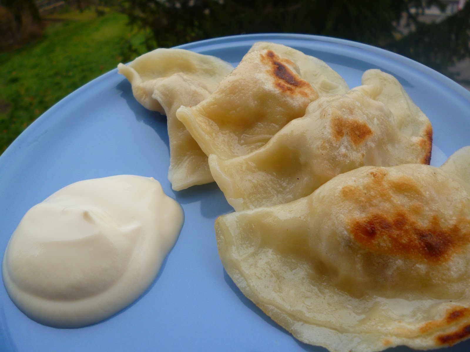 Grünfutter: Piroggen mit Räuchertofu-Gemüsefüllung