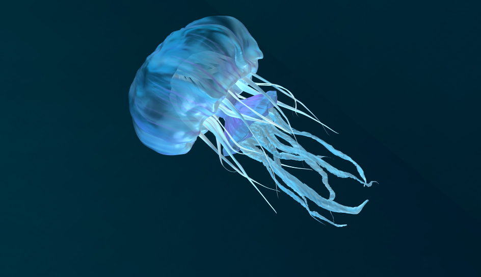 jellyfish zbrush