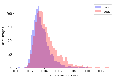 Salmon Run: Autoencoder as a Feature Detector for Complex Classifiers