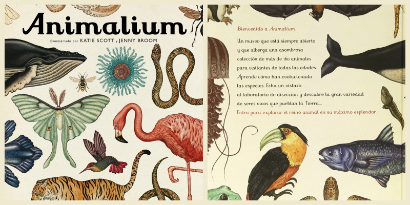La naturaleza, los libros y los niños: Animalium, casi un museo - EL BLOG DE LA TABLA