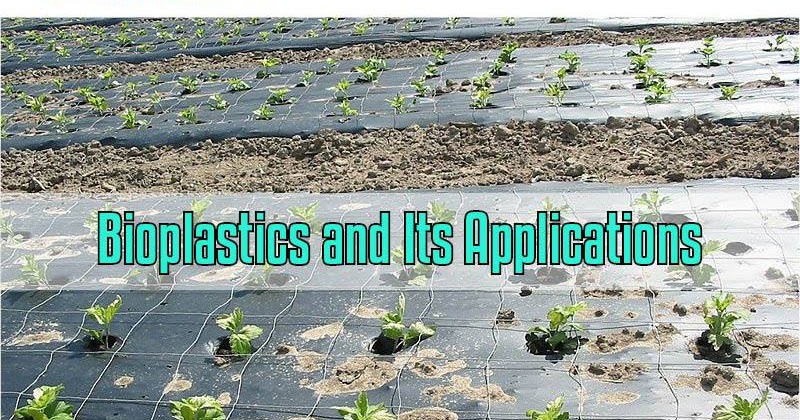 9th World Congress on Biopolymers & Bioplastics: Bioplastics and Its ...
