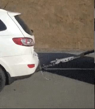 how_did_they_even_get_their_driving_licenses_27.gif