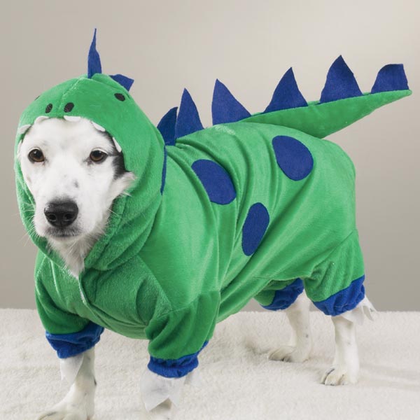 Dog Dragon 