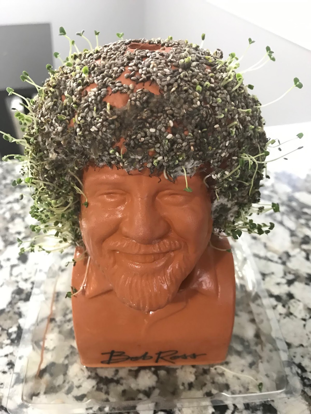 My bob Ross chia pet sprouted : r/mildlyinteresting