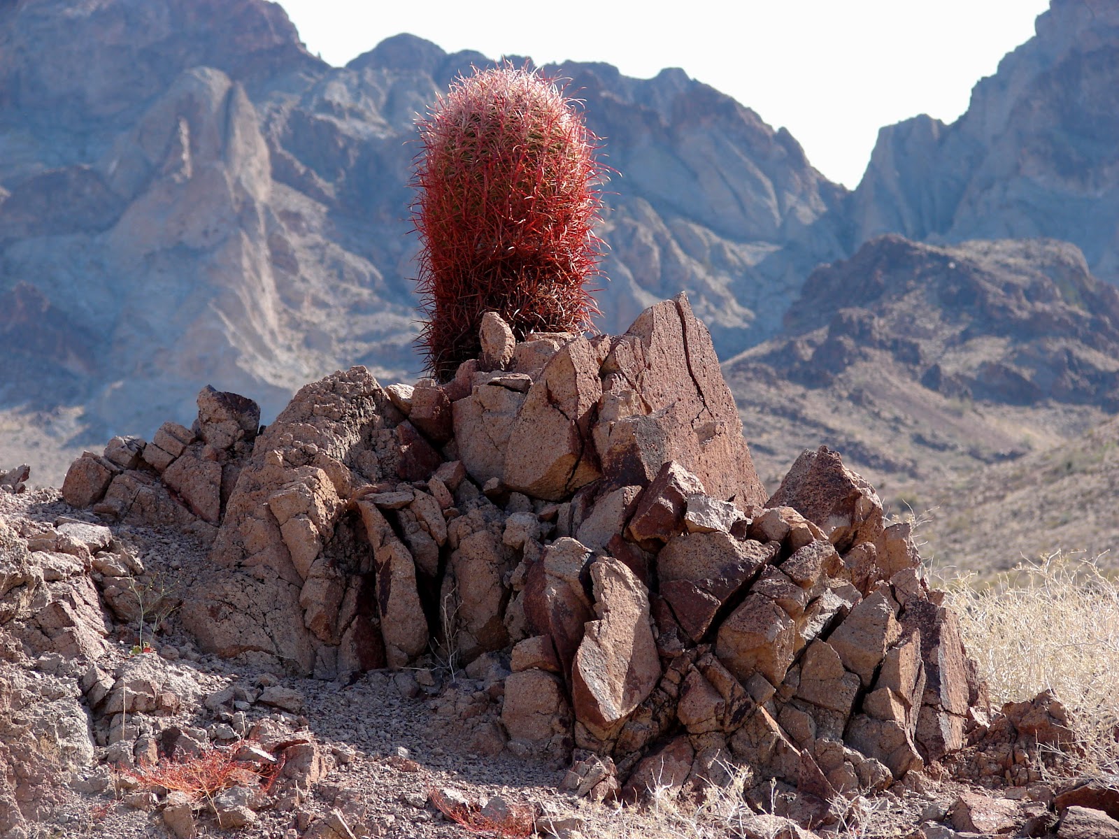 Our Four Wheel Camper Turtle Mountains