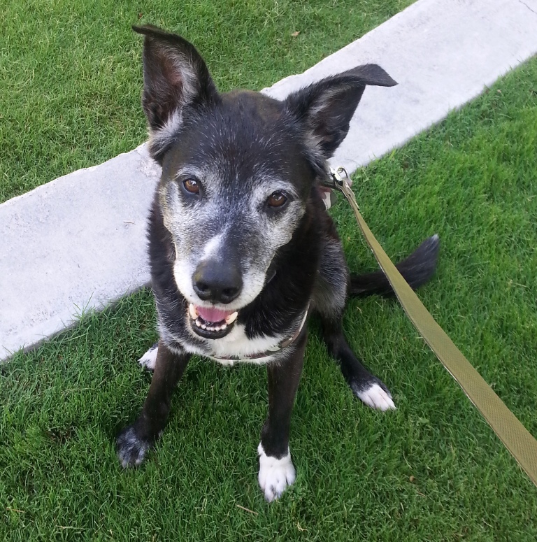 Exceptional update to share on Nike's adoption!