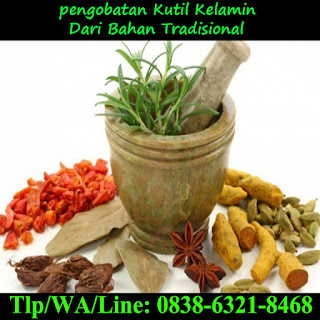 Obat Kutil Kelamin