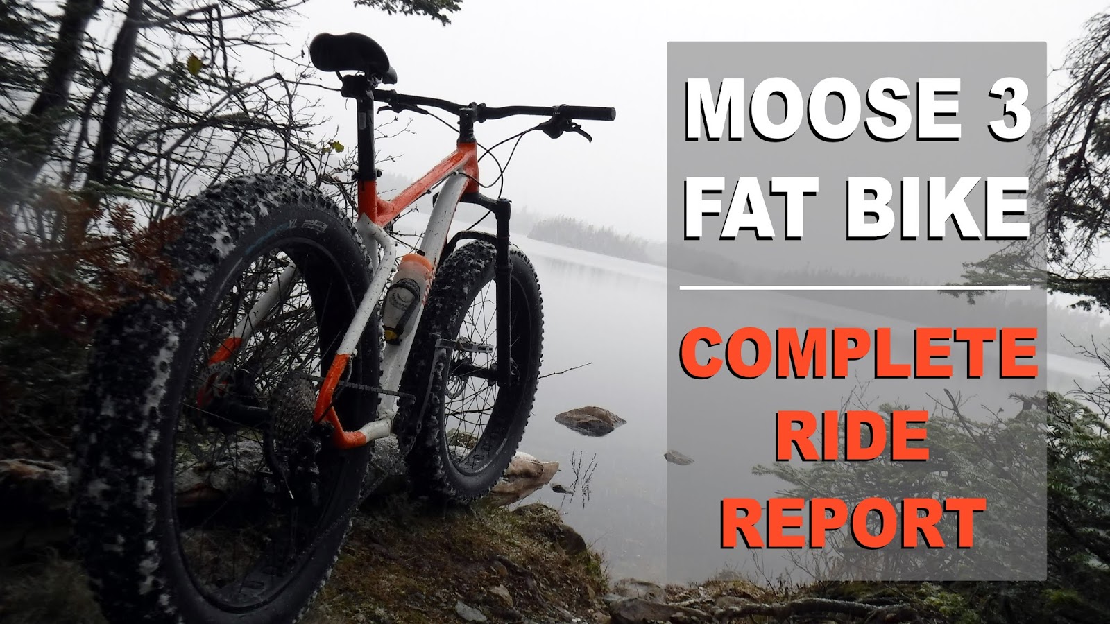moose fat bike 2