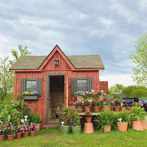 Sandbanks Summer Village And What To Do In Prince Edward County