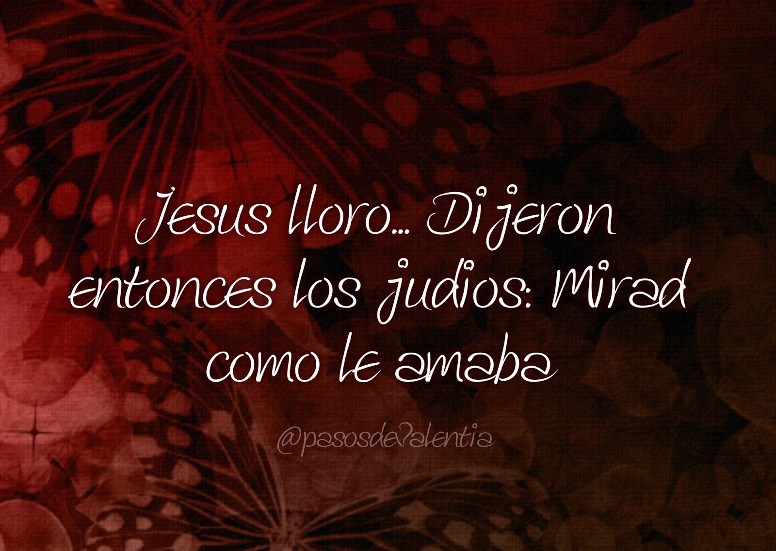 Movimiento de Fe JESÚS LLORÓ