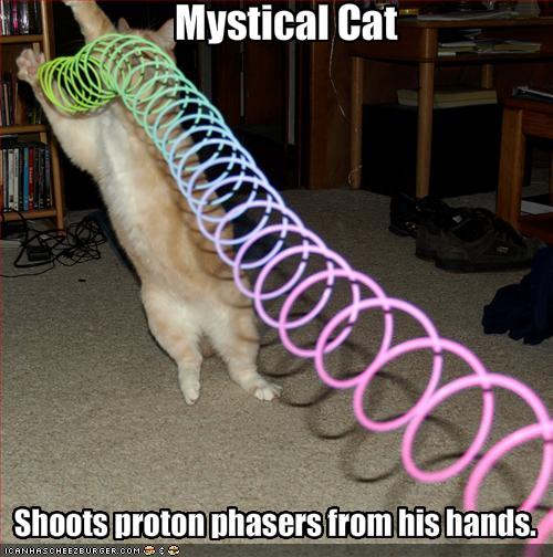 All photos gallery: Funny Images Of Animals, Funny Images Download