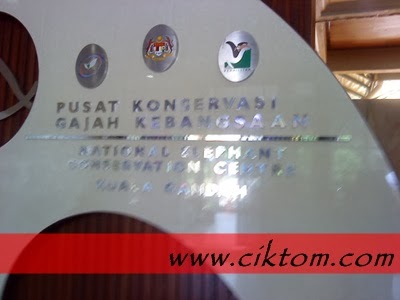 Pusat Konservasi Gajah Kebangsaan, Kuala Gandah