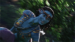 28.gif