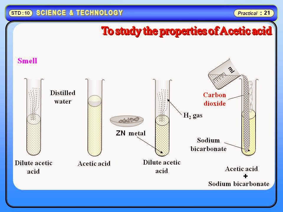 Physics Learn: Physical and chemical properties of acetic acid. Science