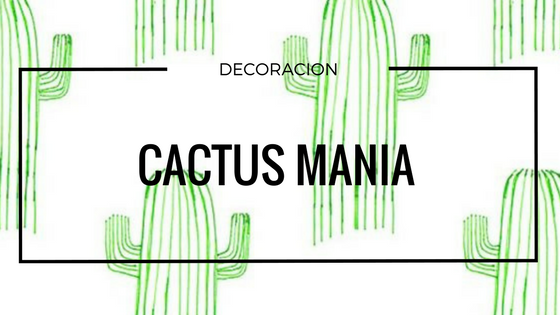decoracion con cactus