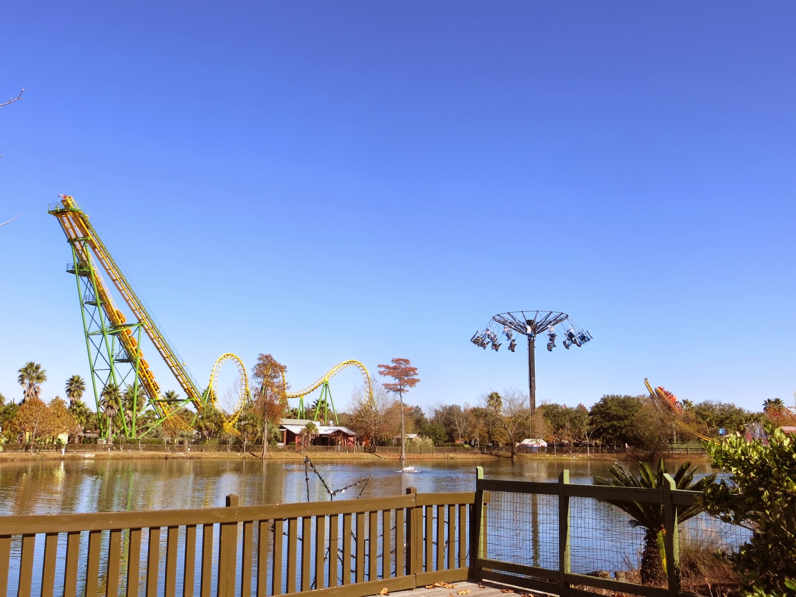 Where is 29 Nov Wild Adventures, Valdosta, GA