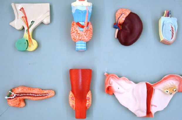 How can you face thyroid risks? thyroid glands