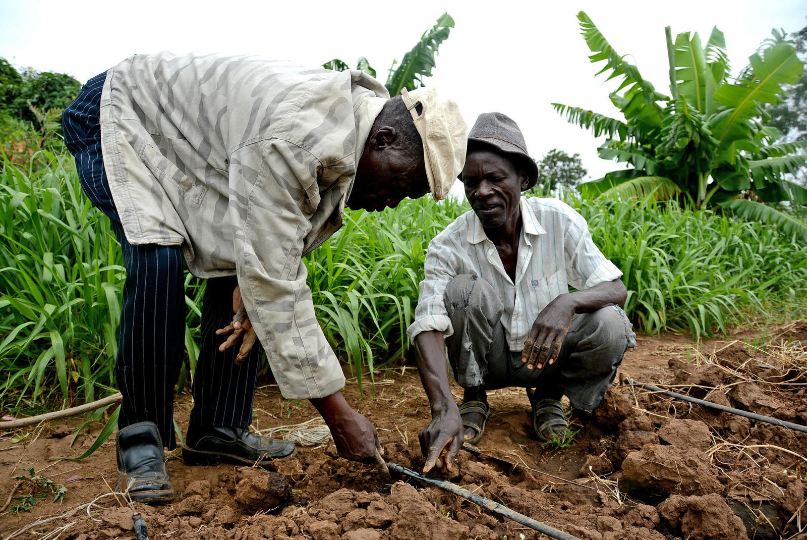 Effective water management strategies for environmental change